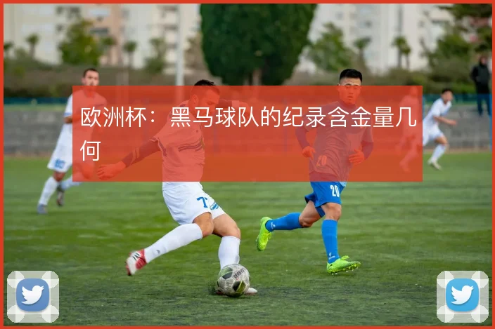 欧洲杯：黑马球队的纪录含金量几何