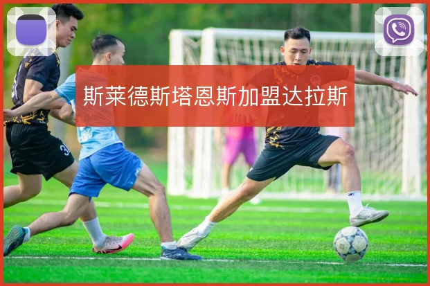 斯莱德斯塔恩斯加盟达拉斯