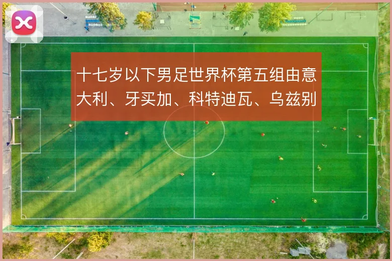 十七岁以下男足世界杯第五组由意大利、牙买加、科特迪瓦、乌兹别克斯坦组成