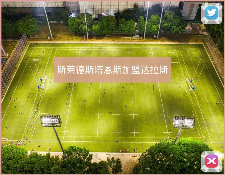 斯莱德斯塔恩斯加盟达拉斯